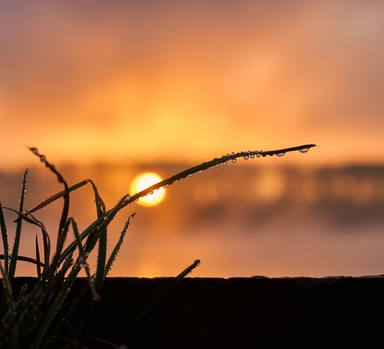 Both temperatures and rainfall were above average in April