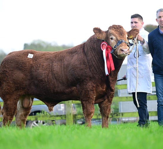 Kenny's Carrefour Turbo takes top price at Limousin premier