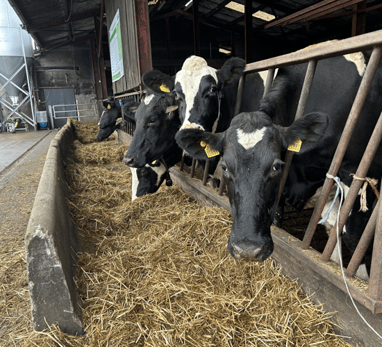 Winter-milk: Know your cost of production