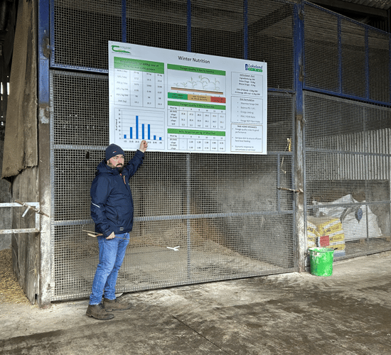 High-quality forage vital within a winter-milk system