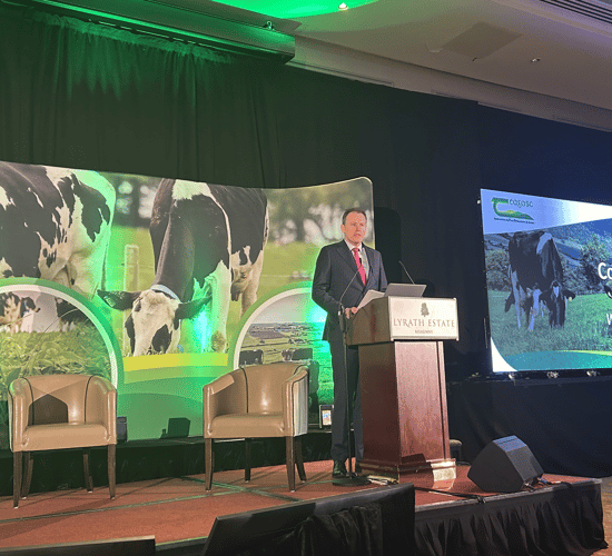 Minister: Govt 'committed to maintaining nitrates derogation'