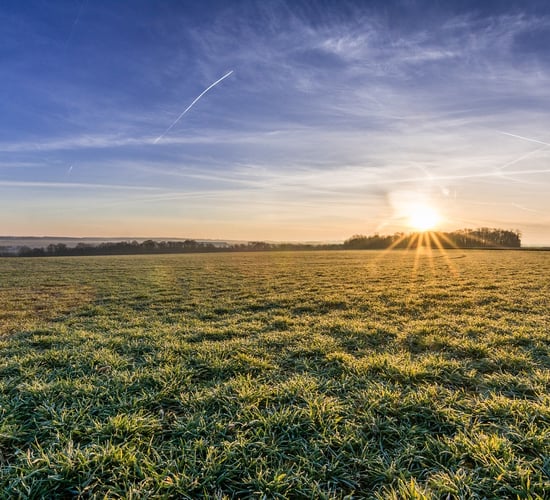 Warmest January on global record for 2024 - Copernicus