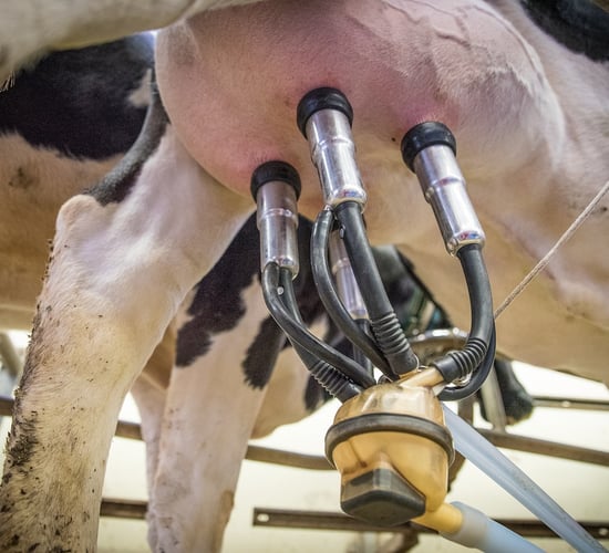 Eurostat: EU milk production growth came to a 'standstill' in 2022