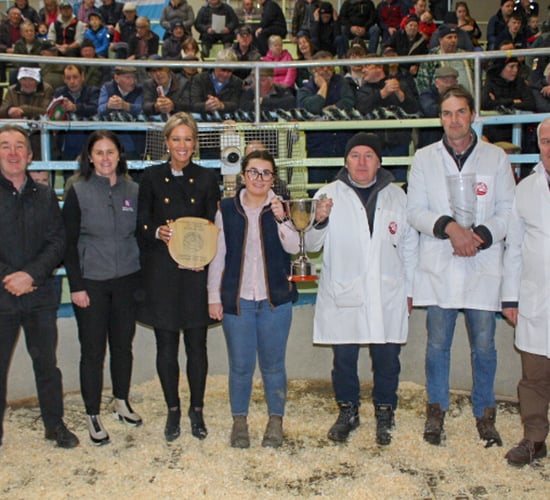 Bullocks hit €3,520 at Kanturk Mart fatstock show and sale