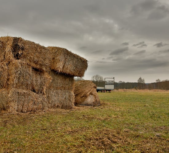 DAFM: Rules for importing hay and straw this winter