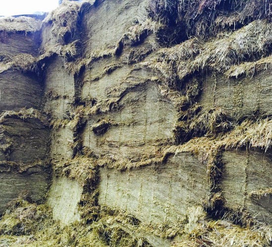Advice: Fodder budgets and interpreting silage test results