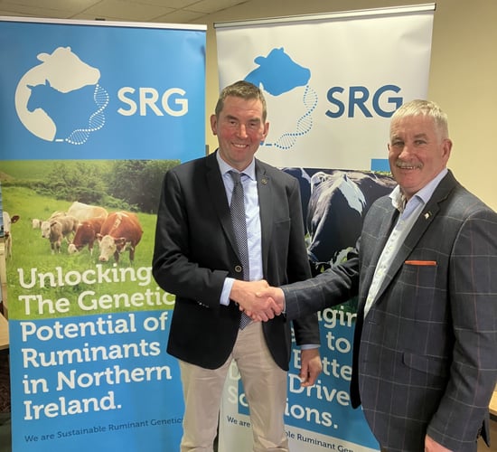 Sustainable Ruminant Genetics appoints new chief executive