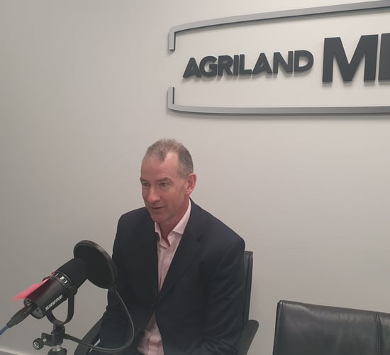 Listen: ICBF chief discusses changes to beef breeding index