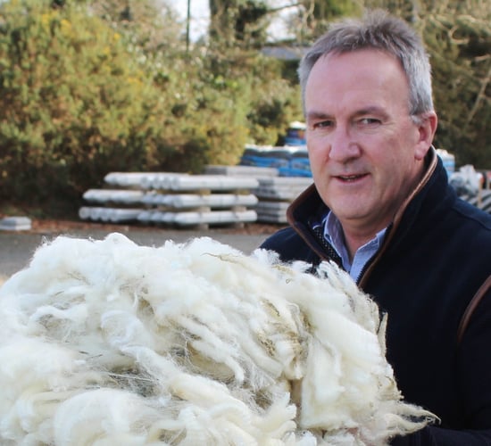 Global wool prices have started to strengthen - British Wool