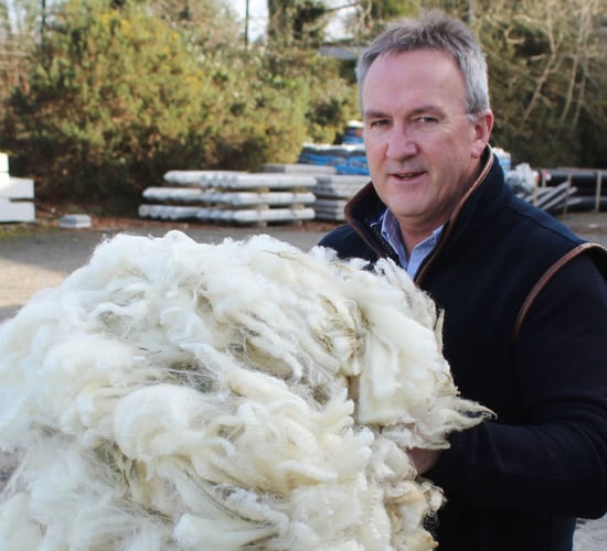 2025 wool shearing season is underway in Northern Ireland