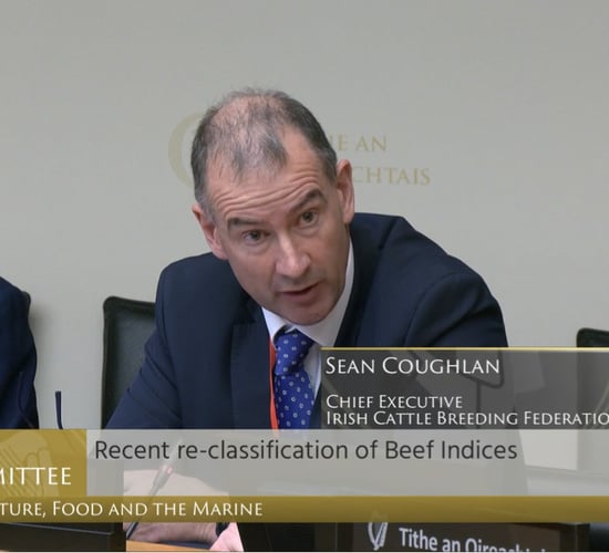 ICBF: Index change reversal would 'create chaos'
