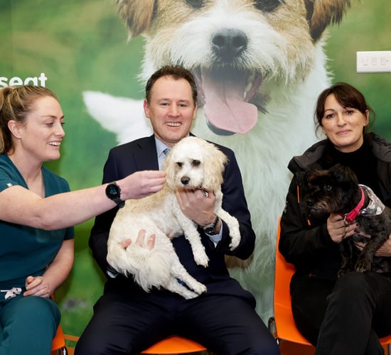 Animal welfare charities to receive €6 million funding