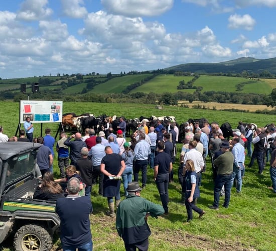 Advantage Beef Programme: Events and initiatives in 2023