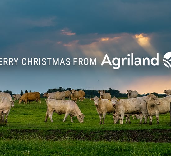 Happy Christmas from all at Agriland Media Group