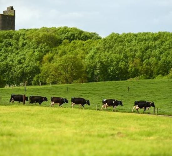 FBD Group invests €6m in new research centre at Moorepark