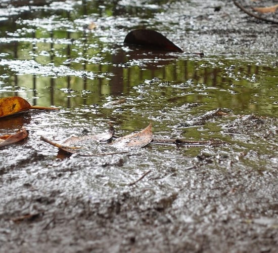 Rainfall warnings for Cork and Waterford cancelled