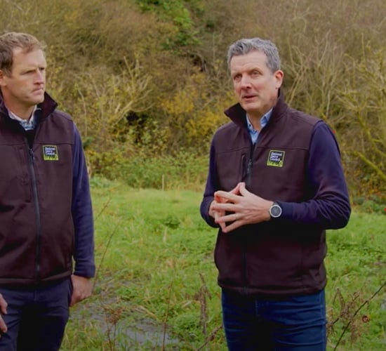 NDC Spotlight Series: Securing the future for Irish dairy