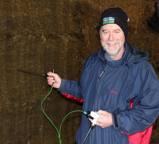 Threat of mycotoxins invisible to the naked eye