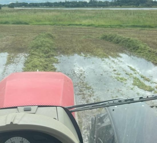 Farmers left without funding after Shannon Callows flooding
