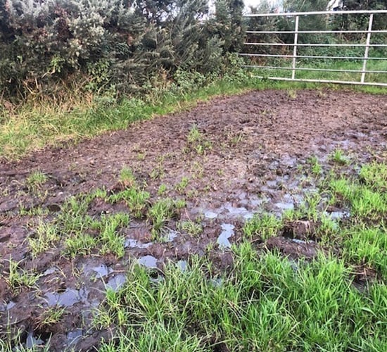 Factors for farmers to consider before leasing land