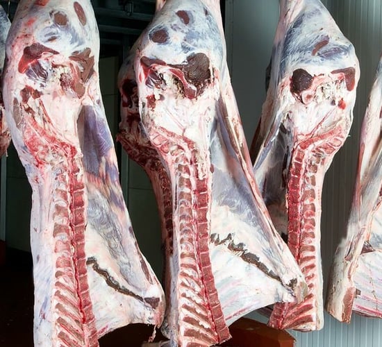 NI beef carcase weights remain strong as Irish weights decline