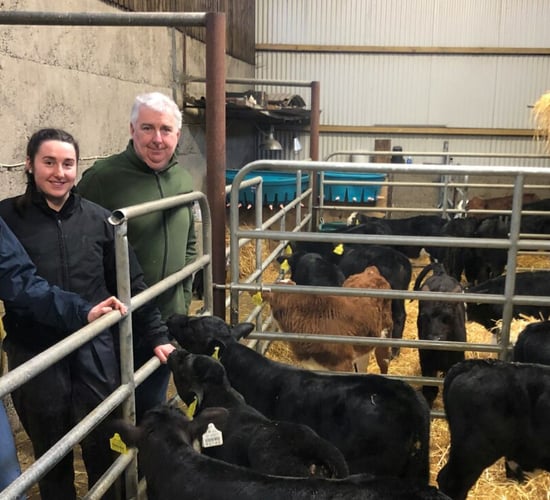 Beef Focus revisited: Tidy calf-rearing setup on Tipperary beef farm