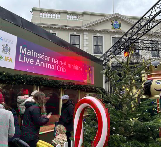 Watch: Live animal crib launched by Dublin's Lord Mayor