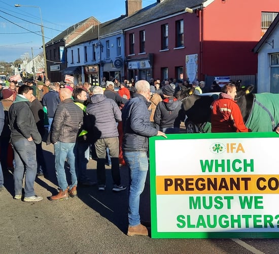 Cork IFA protest over derogation cut in Carrigaline