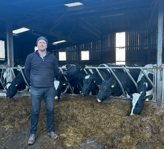 Watch: ICMSA president - N value of some calves may change