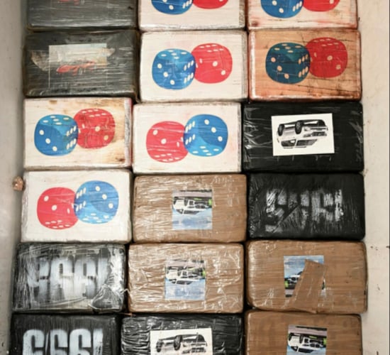 PSNI: £10m of cocaine was hidden in boxes containing frozen meat