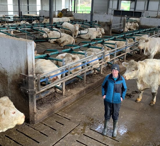 Beef Focus revisited: Modern pedigree Charolais operation in Cavan
