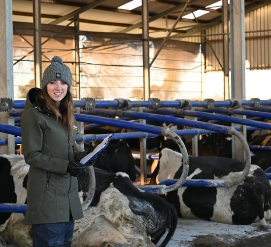 Farmers take preventative approach - Veterinary Ireland president