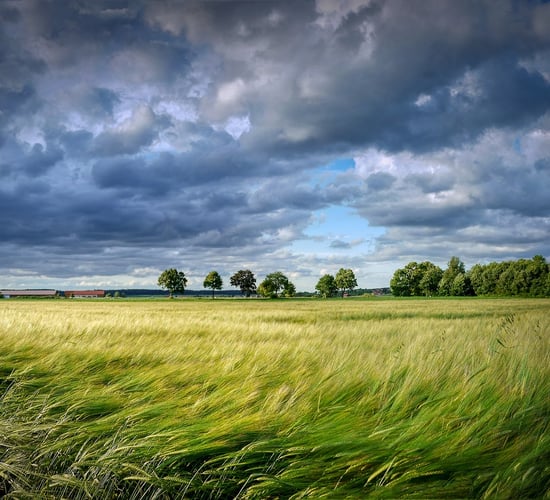 Met Éireann: Rain and showers forecast for next week