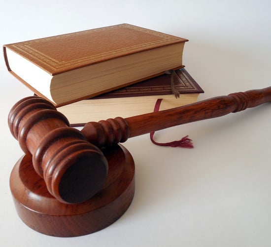 Latest High Court decision on An Taisce nitrates legal challenge welcomed