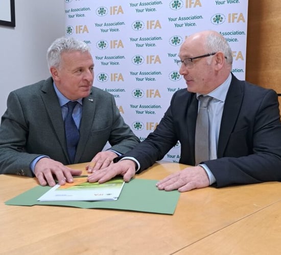 IFA elects new National Environment Committee chair