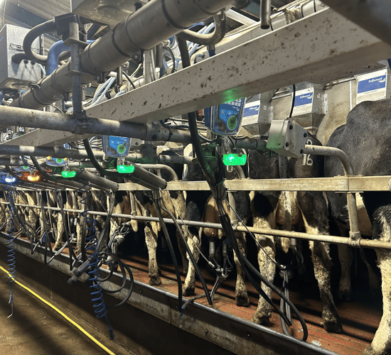 MSD launches milk quality monitoring systems