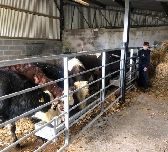 Meath teenager carves out a side hustle