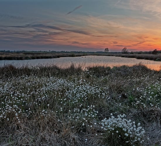 Public encouraged to engage with development of Nature Restoration Plan