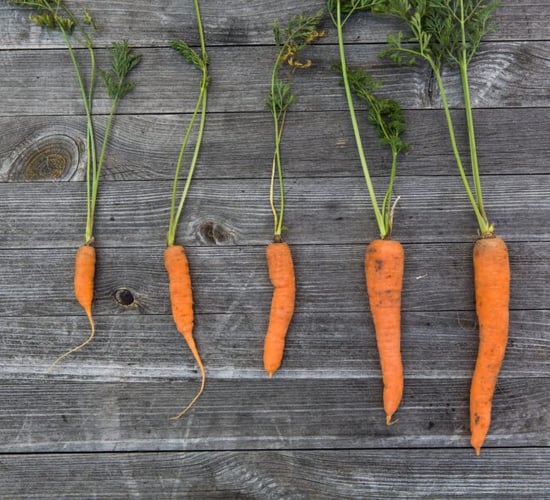 Supplement producers are going to 'lose out' amid carrot research