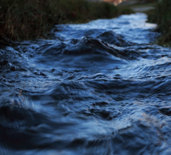 Water quality committee 'must ensure all sectors play their part'