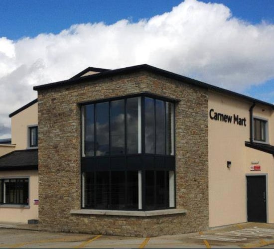 Mart report: Over 900 cattle on offer at Carnew Mart