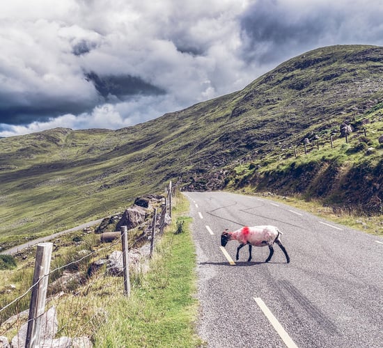 Minister urged to address 'significant shortage' of taxi services in rural towns