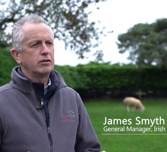 Watch: ICM launches new lamb-finishing sustainability project