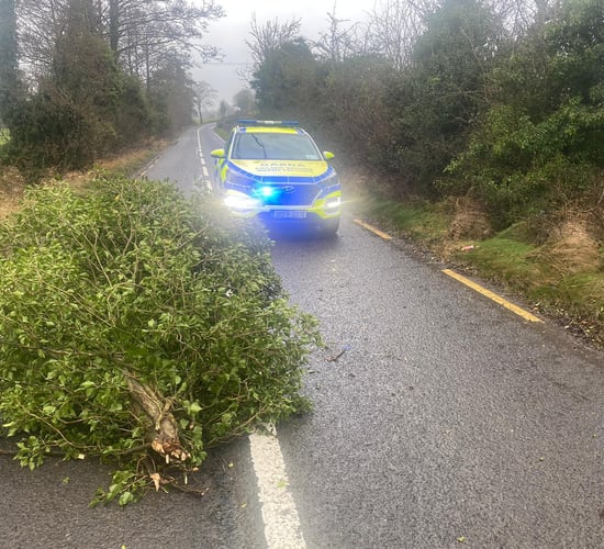 Wind warnings in place nationwide ahead of Storm Jocelyn