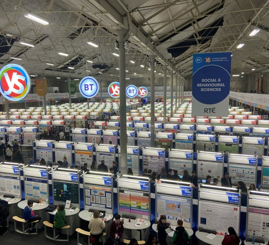 Prizes for environment and agri projects at BT Young Scientist