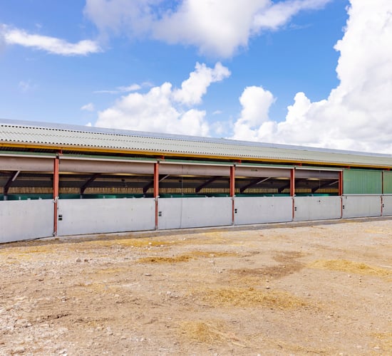 The revolutionary design of the Mono Calf Building