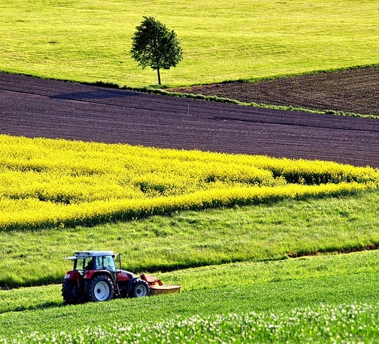 Agricultural output value more than doubled in 10 years - report