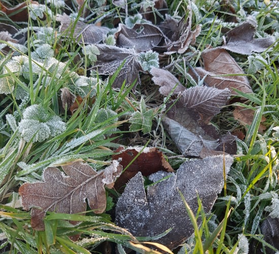 Met Éireann: Very cold this week with frost and ice