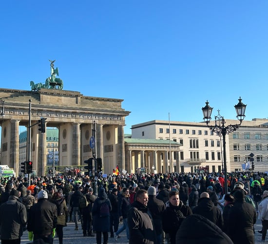 European farmer protests show need for market reform - EMB