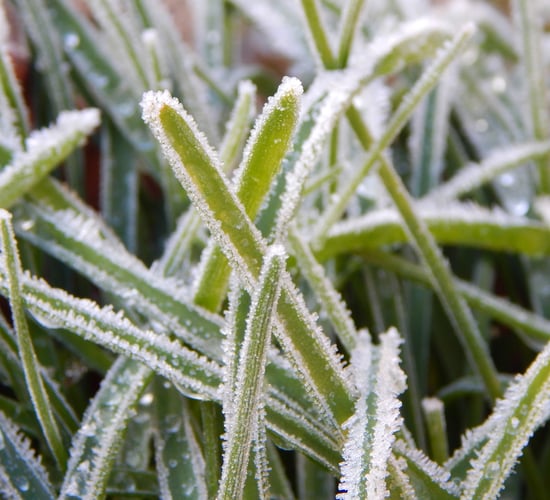 Met Éireann: Cold and mainly dry weekend ahead